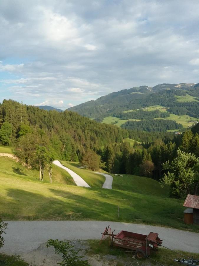 Appartement Bauernhof Vordergrub à Scheffau am Wilden Kaiser Extérieur photo