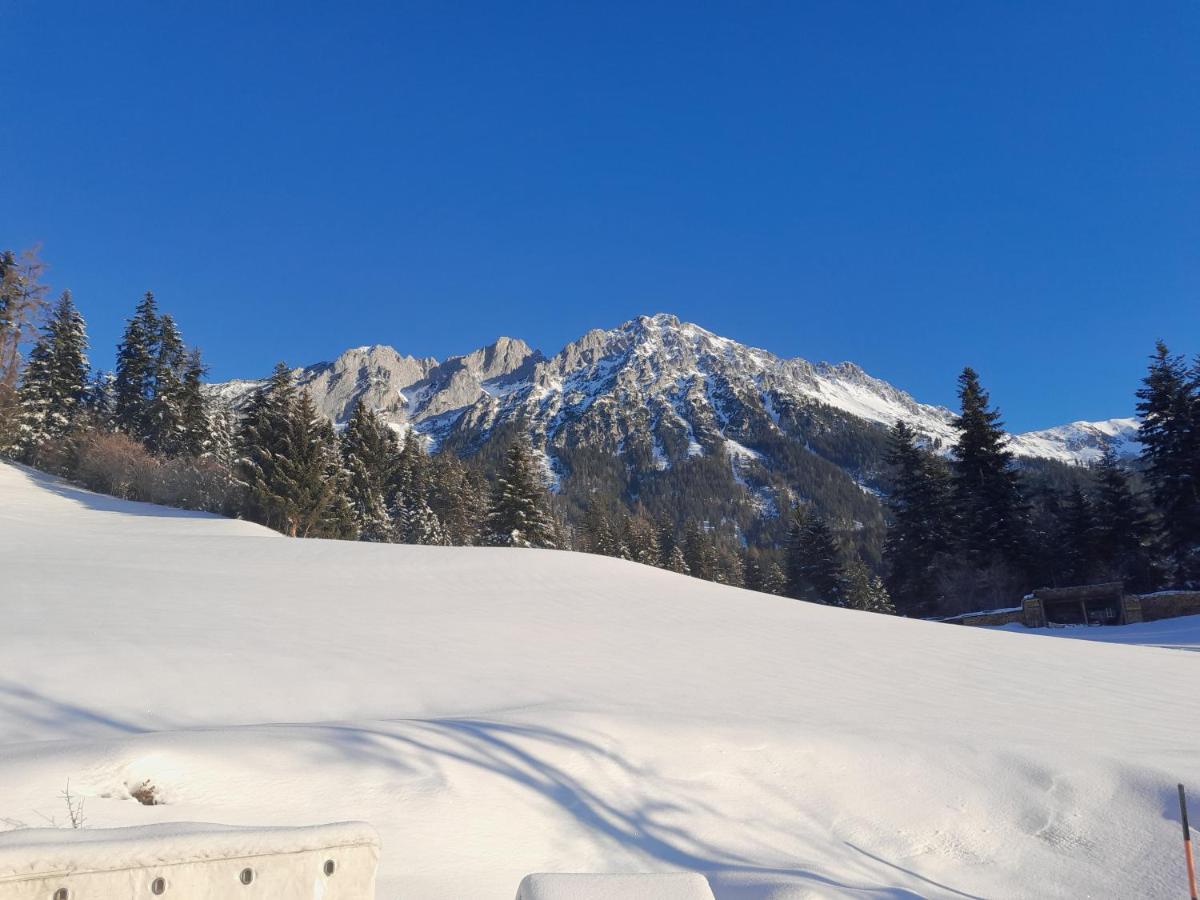 Appartement Bauernhof Vordergrub à Scheffau am Wilden Kaiser Extérieur photo